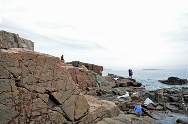 view alongside Thunder Hole in Acadia National Park